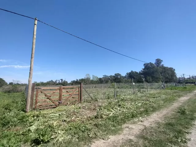Lote de 26 x 27,45 en venta cuenta con calle asfaltada, fácil acceso por avenida 7 - La Plata - 642 y 9