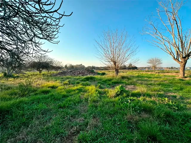 Lote en venta zona de buen acceso y entorno en Lisandro Olmos - 38 e/ 171 y 173